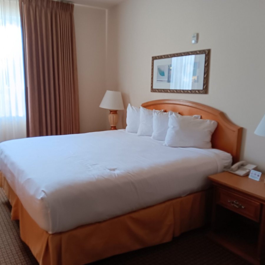 Club De Soleil Las Vegas Nevada — Guest room
