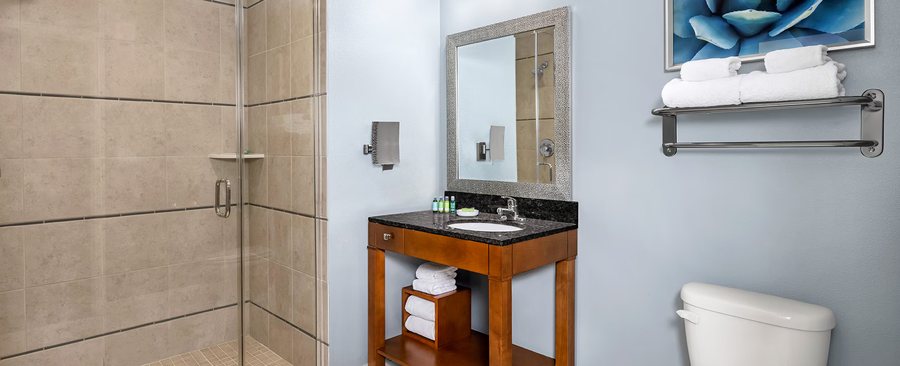Club Wyndham Desert Blue — Bathroom