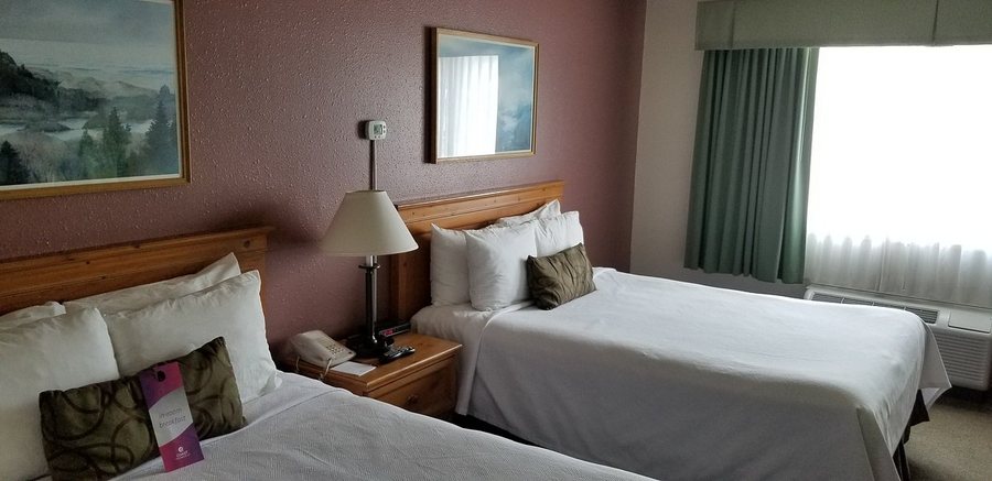Coast Inn at Lake Hood — Guest room