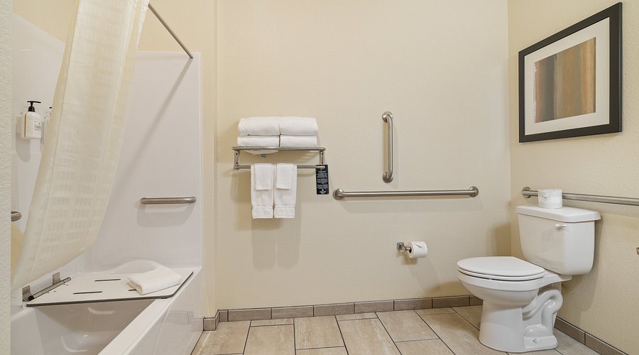 Cobblestone Hotel Suites Lamar — Bathroom