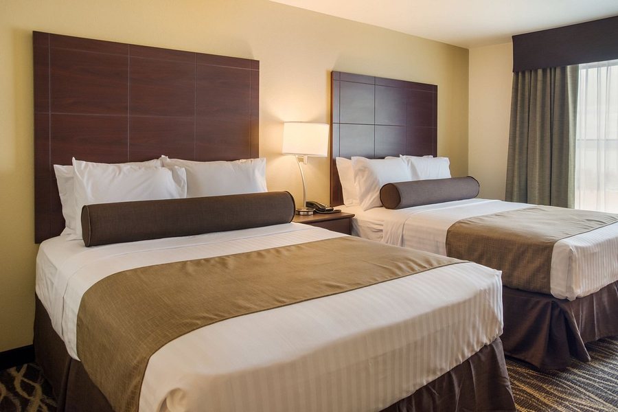 Cobblestone Hotel Suites Lamar — Guest room
