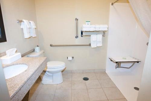 Cobblestone Inn And Suites Langdon — Bathroom