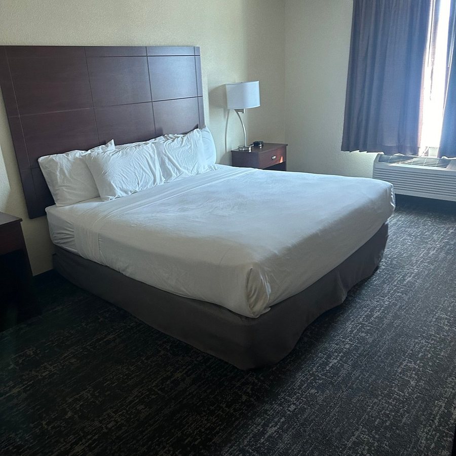 Cobblestone Inn Suites Pine Bluffs — Guest room