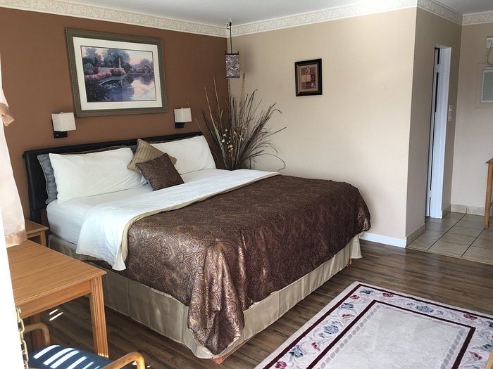 Columbine Motel — Guest room