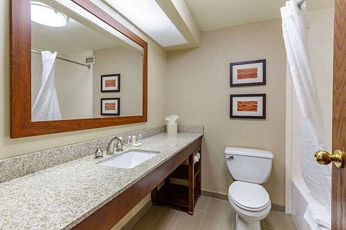 Comfort Inn Aikens Center — Bathroom