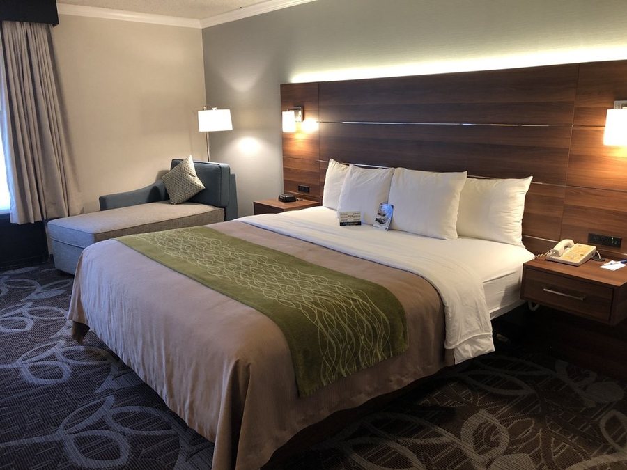 Comfort Inn Anaheim Resort — Guest room