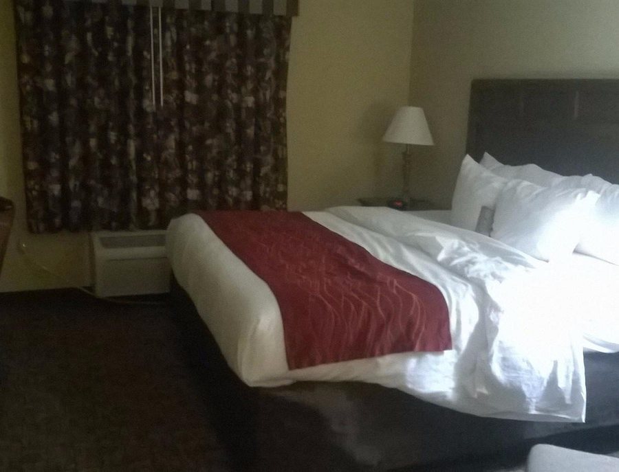 Comfort Inn and Suites — Guest room