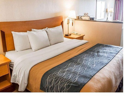Comfort Inn and Suites — Guest room