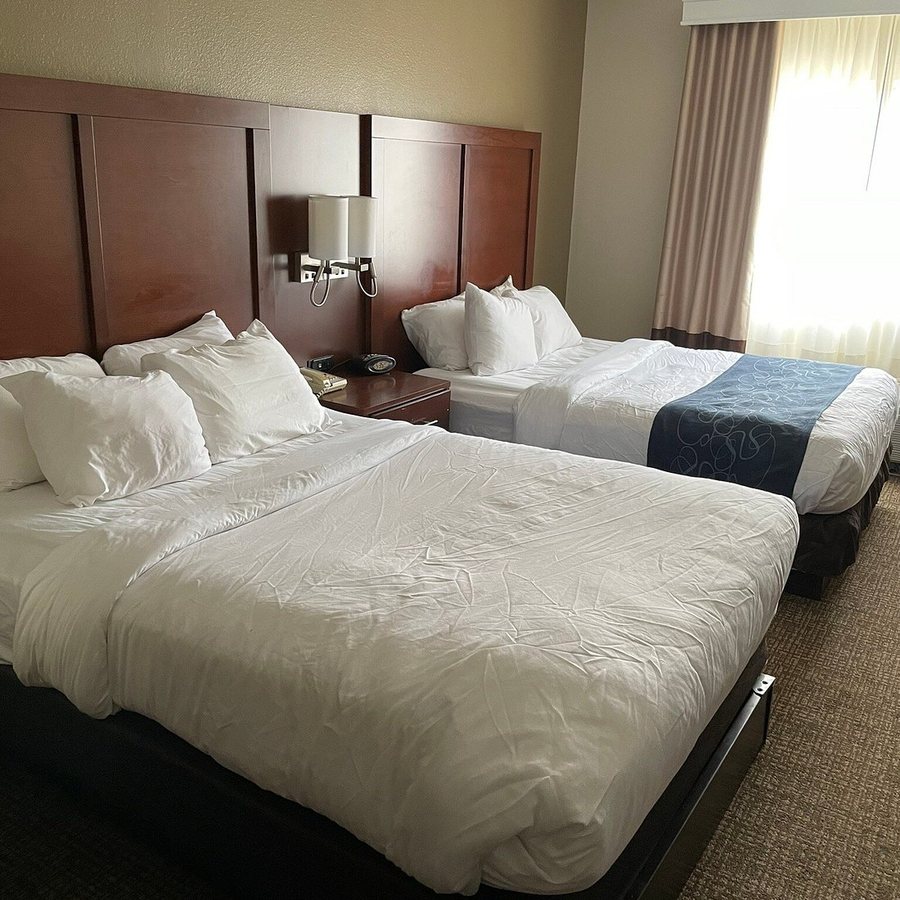Comfort Inn and Suites Town of Greece — Guest room