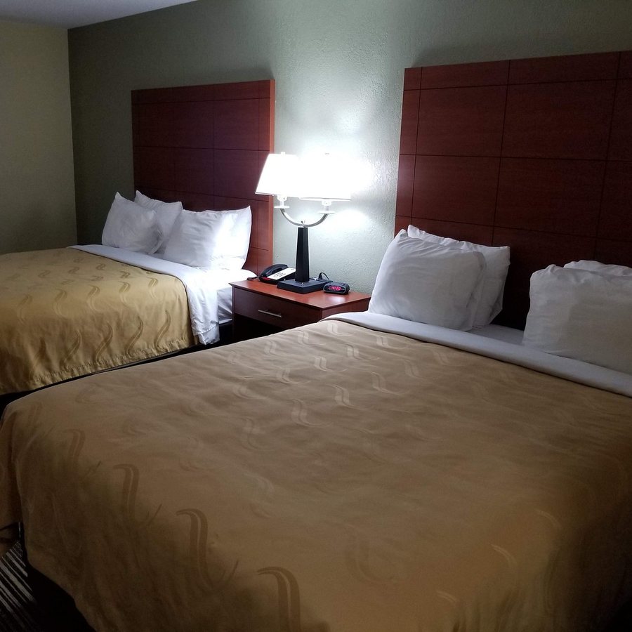 Comfort Inn and Suites — Guest room