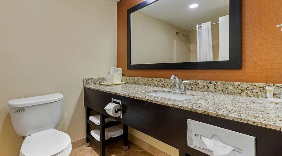 Comfort Inn Asheville Airport — Bathroom