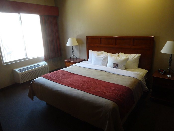 Comfort Inn at Convention Center — Guest room