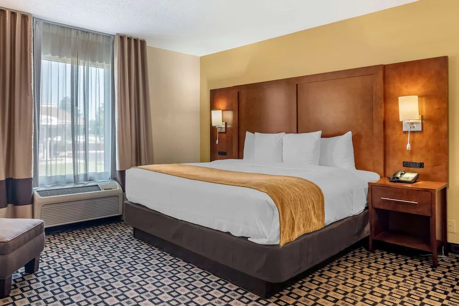 Comfort Inn Athens — Guest room