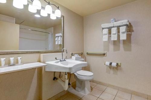 Comfort Inn Atlanta Downtown South — Bathroom