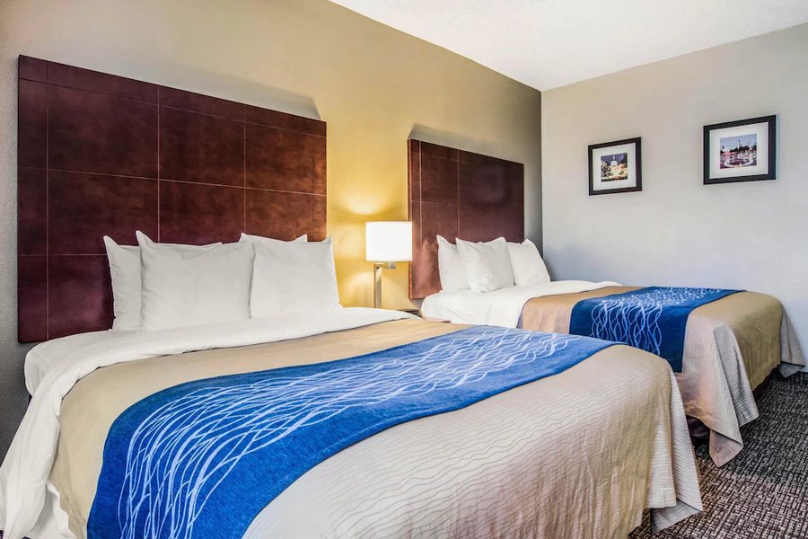 Comfort Inn Atlanta Downtown South — Guest room