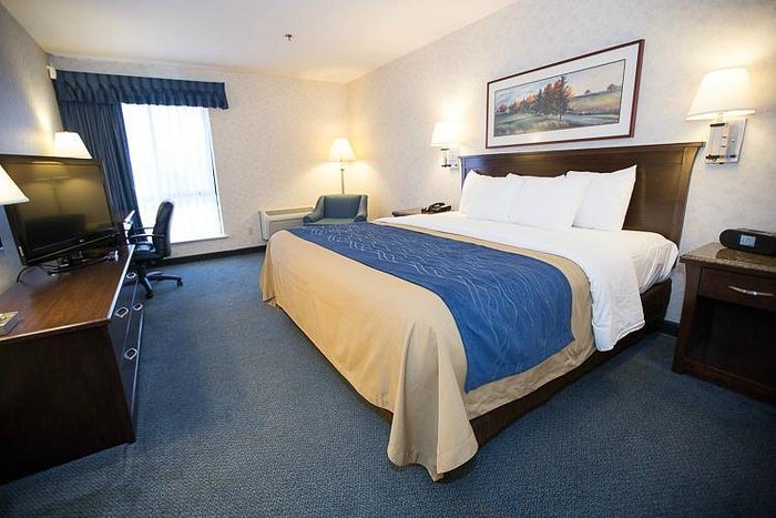 Comfort Inn Bellingham — Guest room