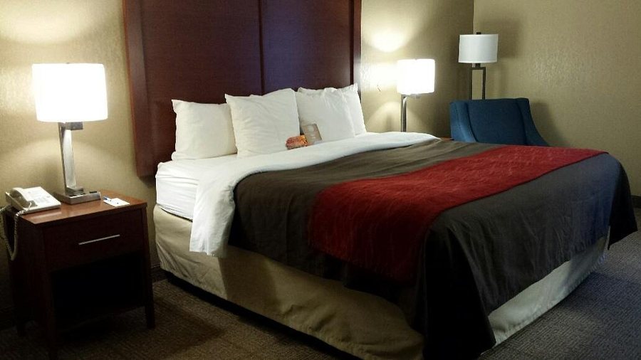 Comfort Inn Biltmore West — Guest room