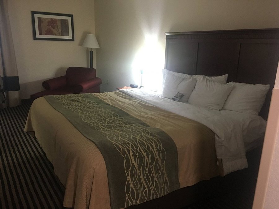 Comfort Inn Birmingham Irondale — Guest room