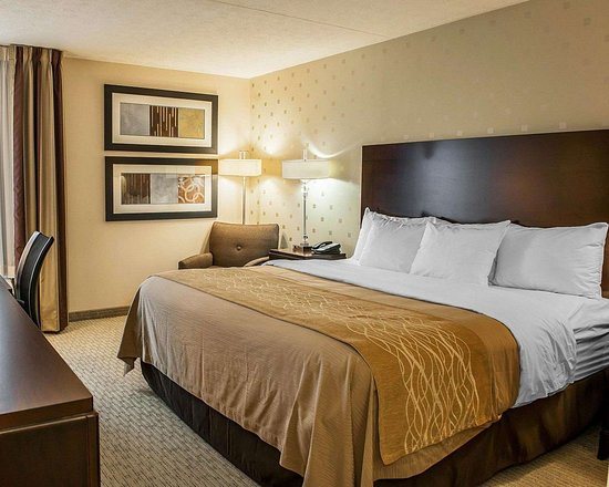 Comfort Inn Bloomington — Guest room