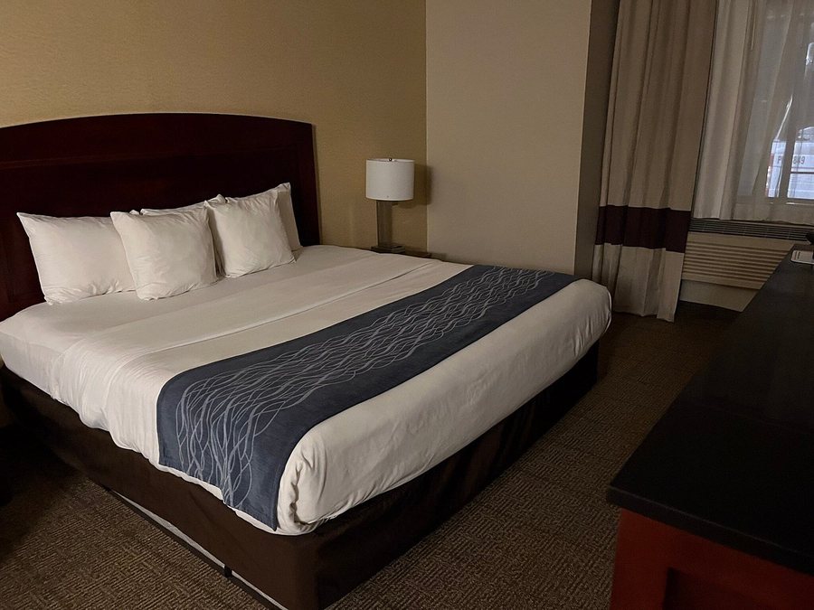 Comfort Inn Blue Ash North — Guest room