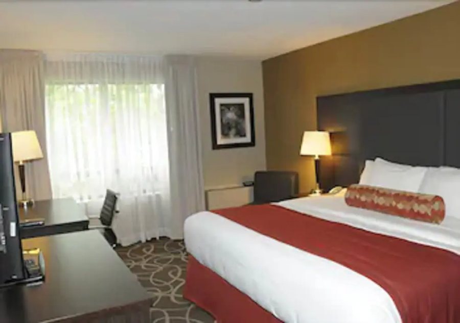 Comfort Inn — Guest room