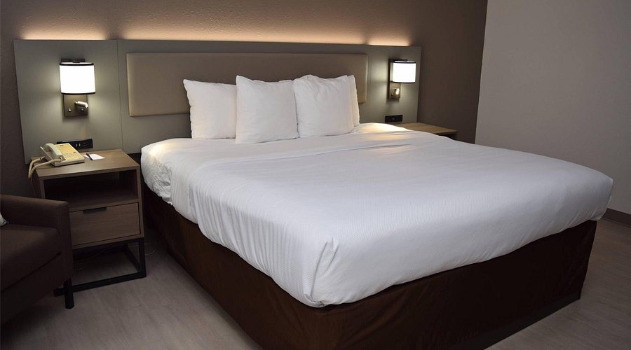 Comfort Inn Carrier Circle — Guest room