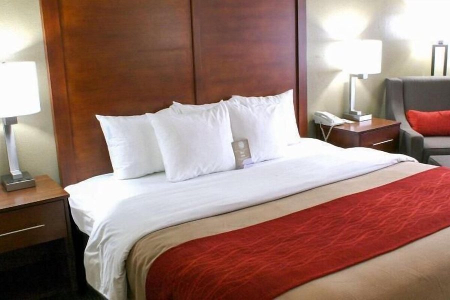 Comfort Inn Central University South — Guest room