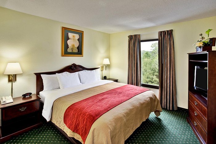Comfort Inn Chester Richmond South — Guest room