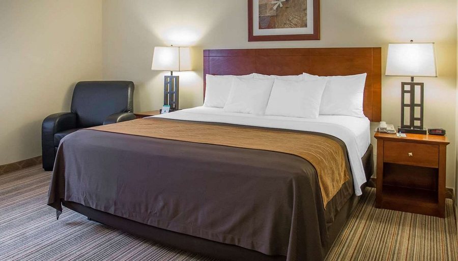 Comfort Inn Cockatoo Near LAX Airport — Guest room