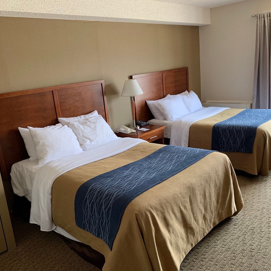 Comfort Inn Columbia Bush River — Guest room