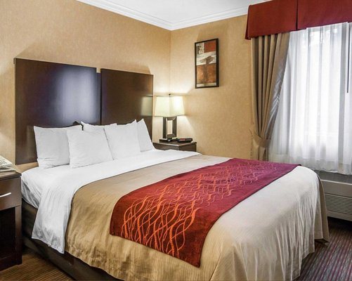 Comfort Inn Columbia Gorge — Guest room