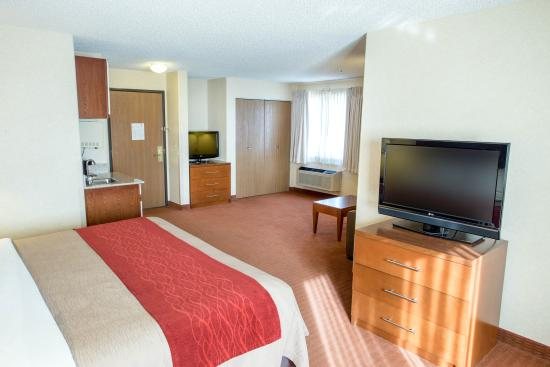 Comfort Inn Denver Southeast Area — Guest room