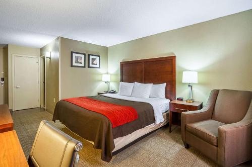 Comfort Inn Downtown — Guest room