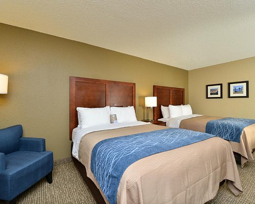Comfort Inn Elizabeth City — Guest room