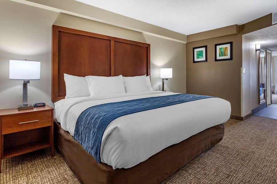 Comfort Inn Fayetteville I 95 — Guest room