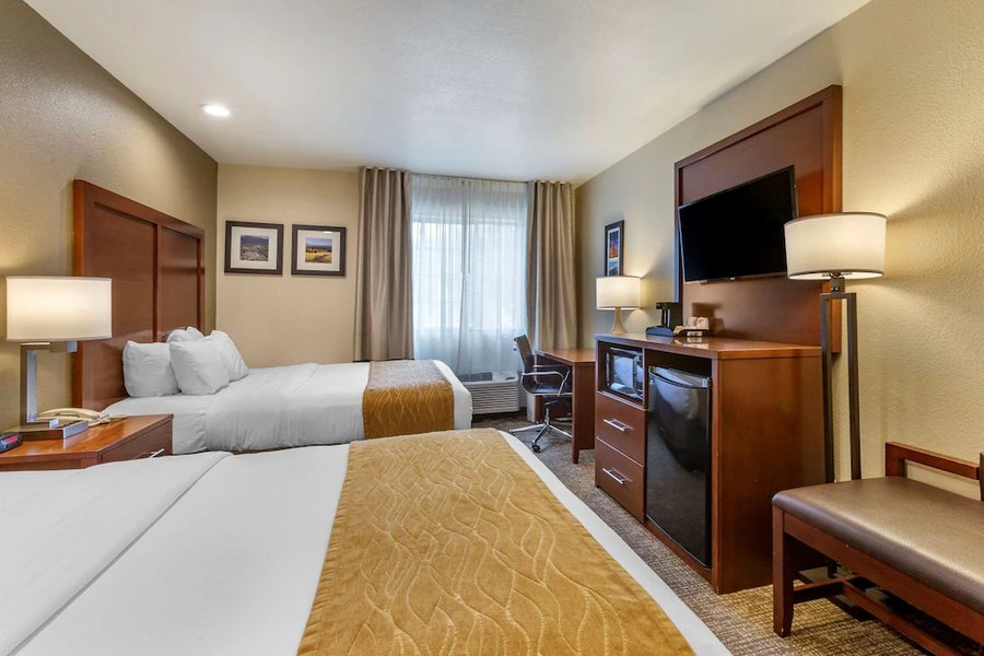 Comfort Inn — Guest room