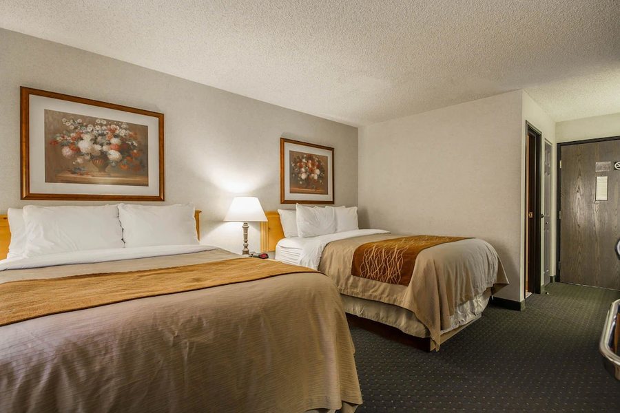 Comfort Inn Fond Du Lac — Guest room