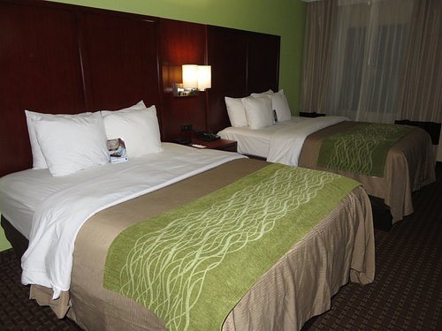 Comfort Inn Fort Mill Amusement Park at Carowinds Blvd — Guest room