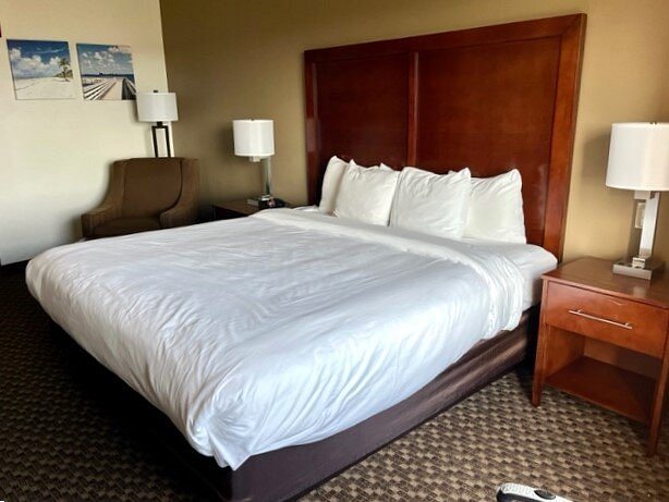 Comfort Inn Fort Myers Northeast — Guest room