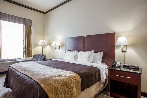 Comfort Inn Ft Jackson Maingate — Guest room