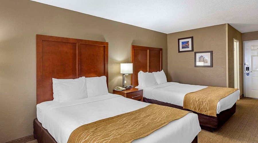 Comfort Inn Gurnee Near Six Flags — Guest room