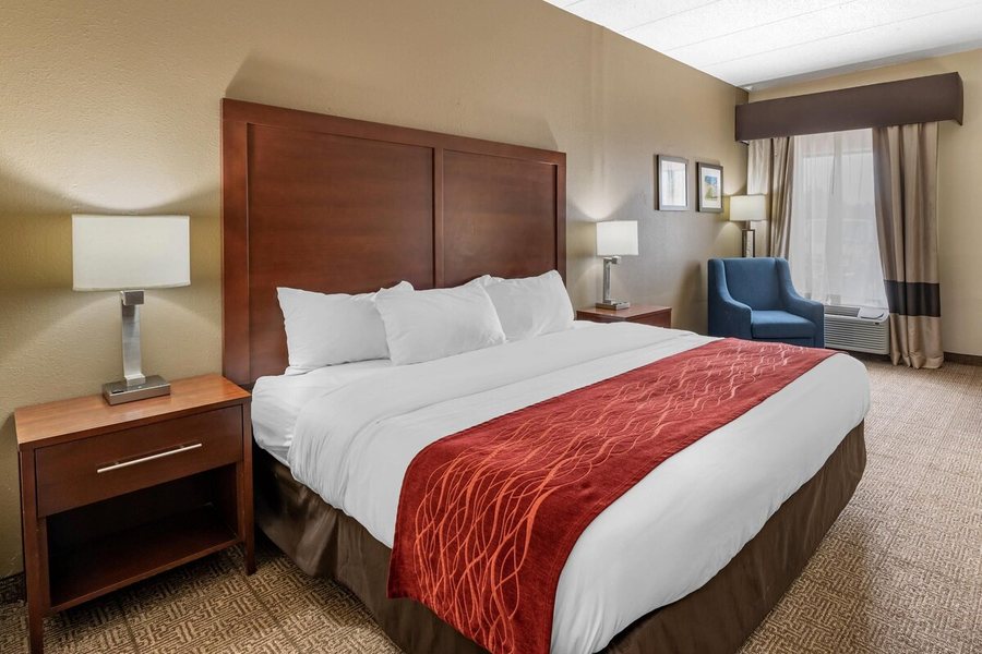 Comfort Inn Hamburg Area I 75 Lexington — Guest room