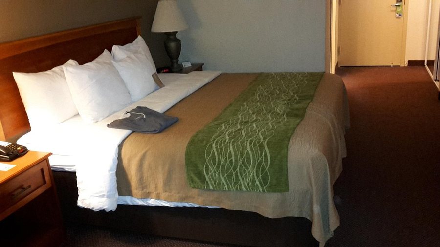 Comfort Inn Herndon Reston — Guest room
