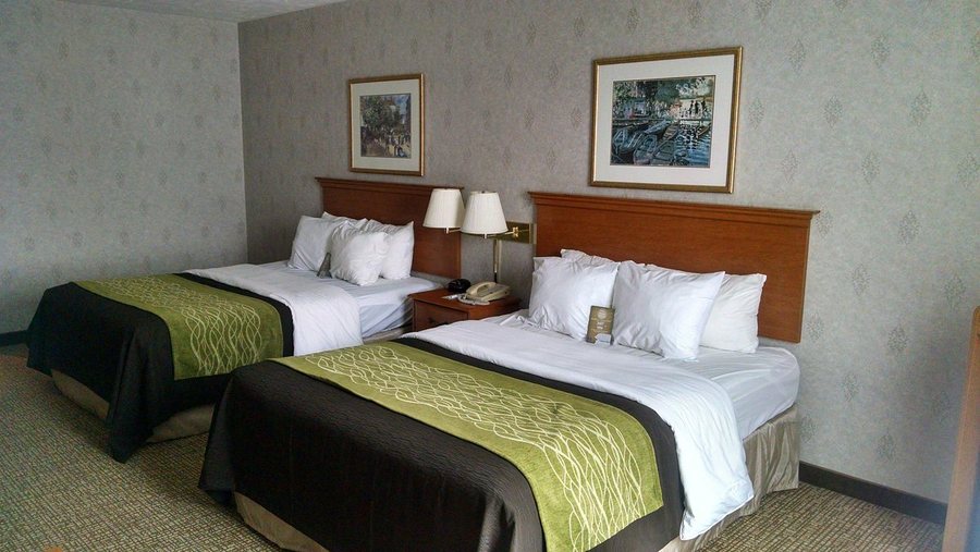 Comfort Inn Huntingdon — Guest room