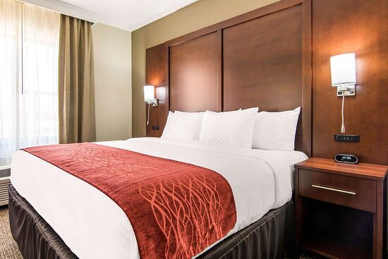 Comfort Inn Independence — Guest room
