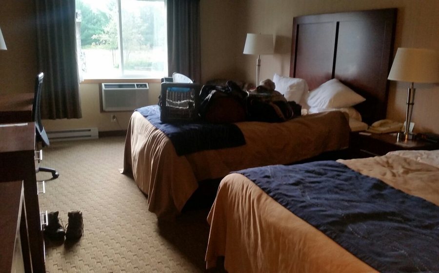 Comfort Inn — Guest room