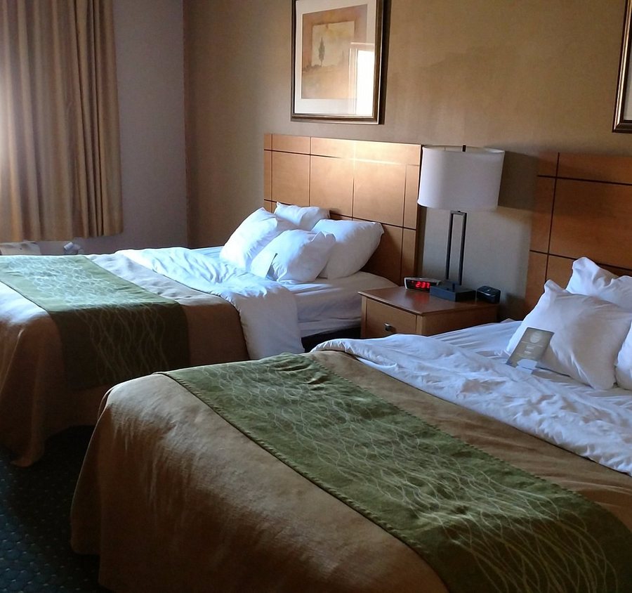 Comfort Inn Jamestown — Guest room