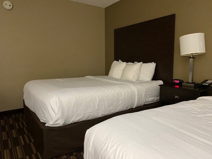 Comfort Inn Kansas City Airport — Guest room