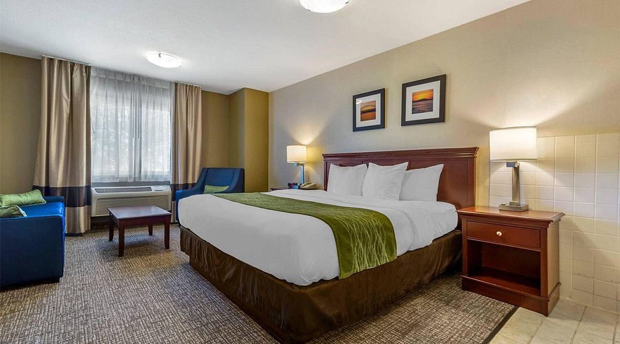 Comfort Inn Kennewick Richland — Guest room