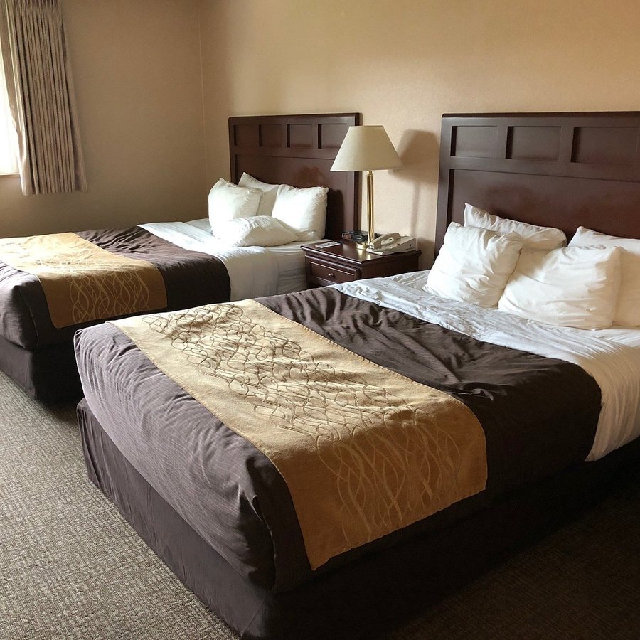 Comfort Inn Kirkland — Guest room